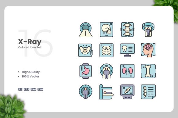 X-Ray Colored Icons: Modern Graphics for Editorial Use